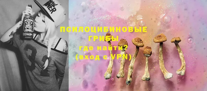 Псилоцибиновые грибы Magic Shrooms  Анапа 