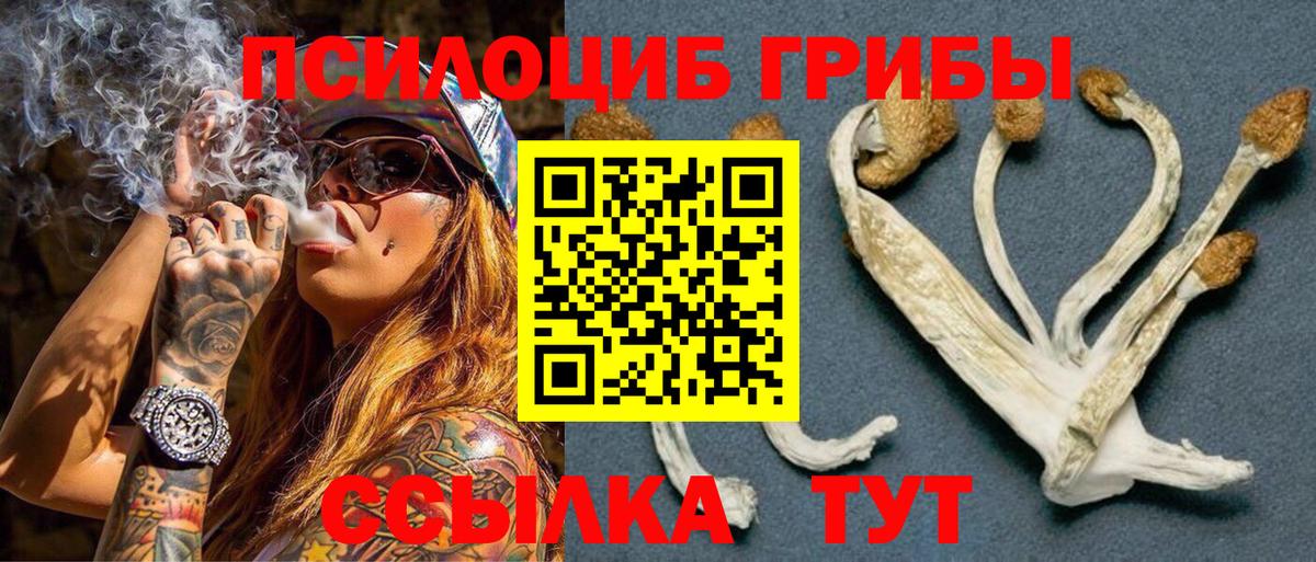 Галлюциногенные грибы Psilocybine cubensis  Вход с VPN  Галлюциногенные грибы MAGIC MUSHROOMS  Анапа 