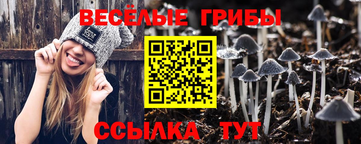 Псилоцибиновые грибы Psilocybe  дарнет шоп  Анапа 