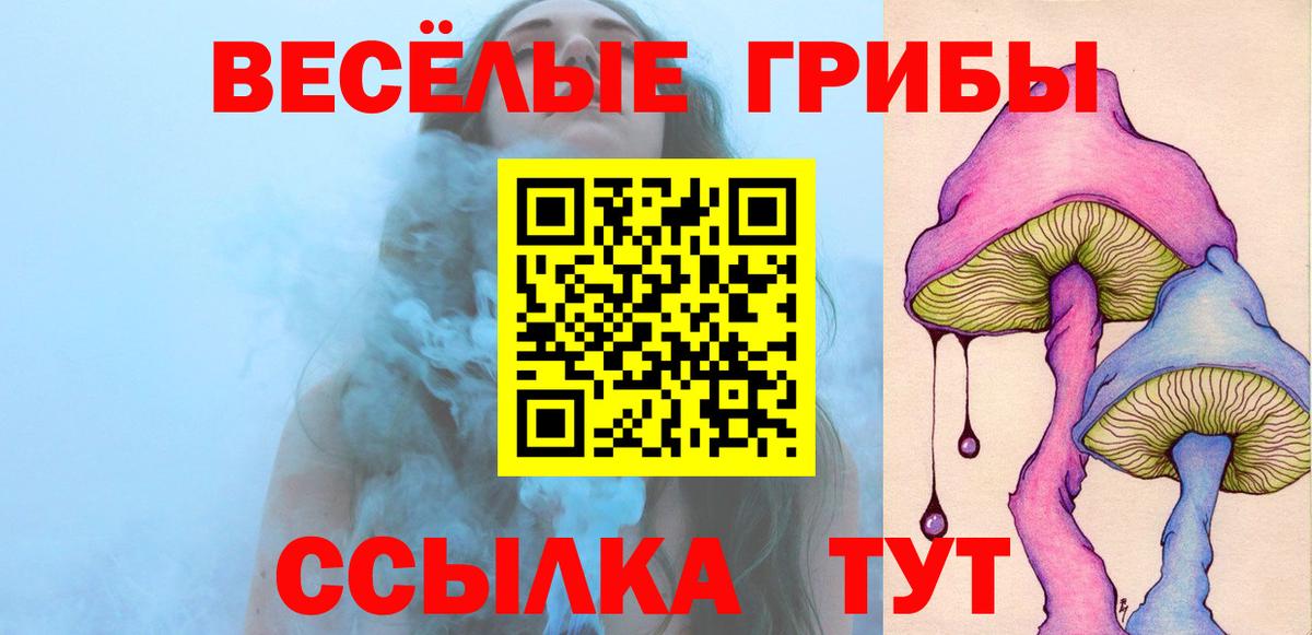 Псилоцибиновые грибы Psilocybine cubensis Анапа