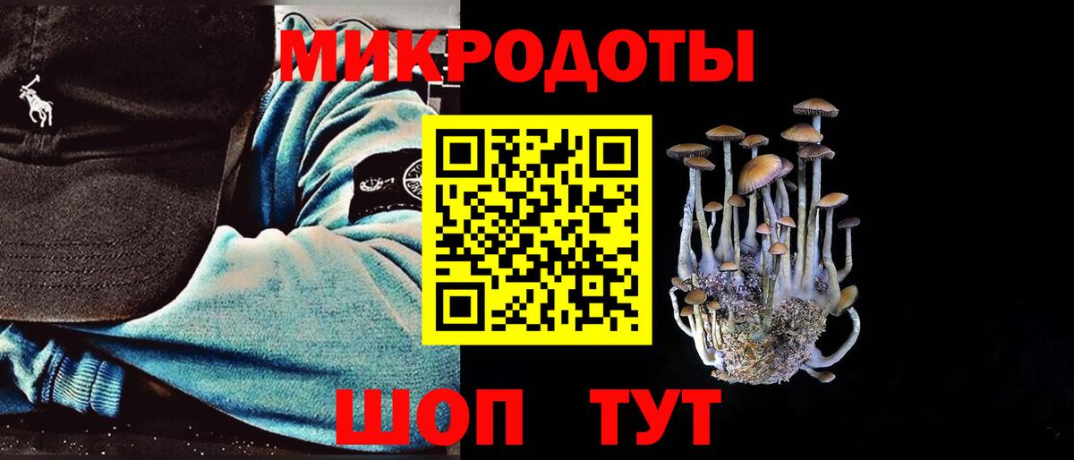 Псилоцибиновые грибы GOLDEN TEACHER  Псилоцибиновые грибы Magic Shrooms  Анапа  цены наркотик  Вход с VPN 